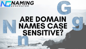 are domain names case sensitive blog banner