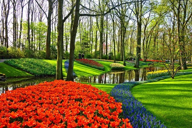 garden-flower and water landscaping